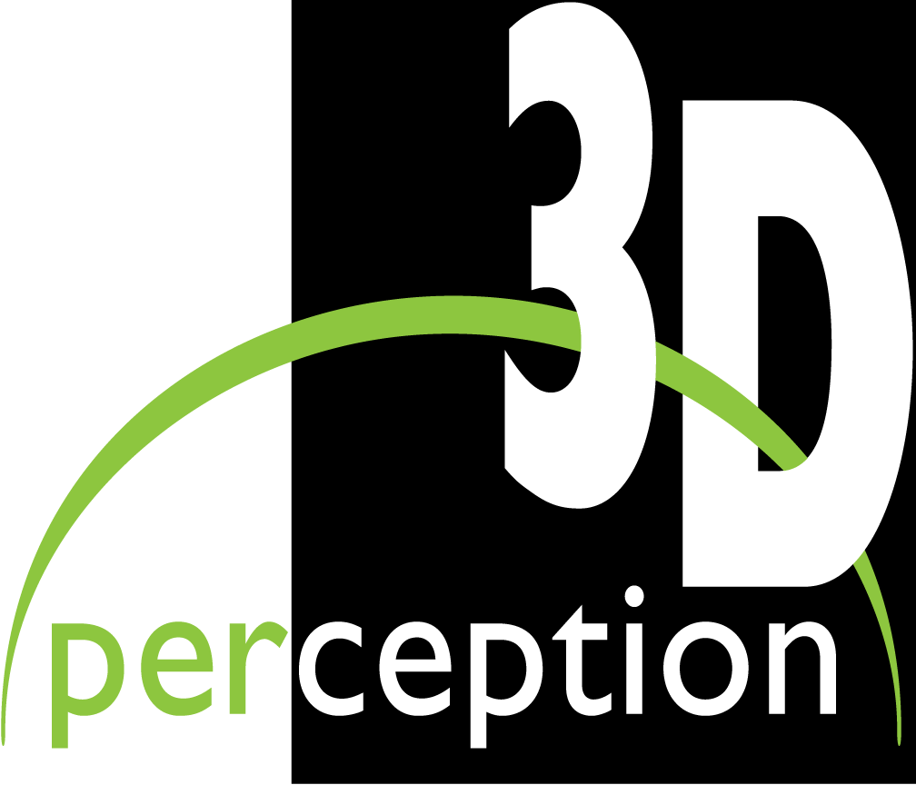 3D perception